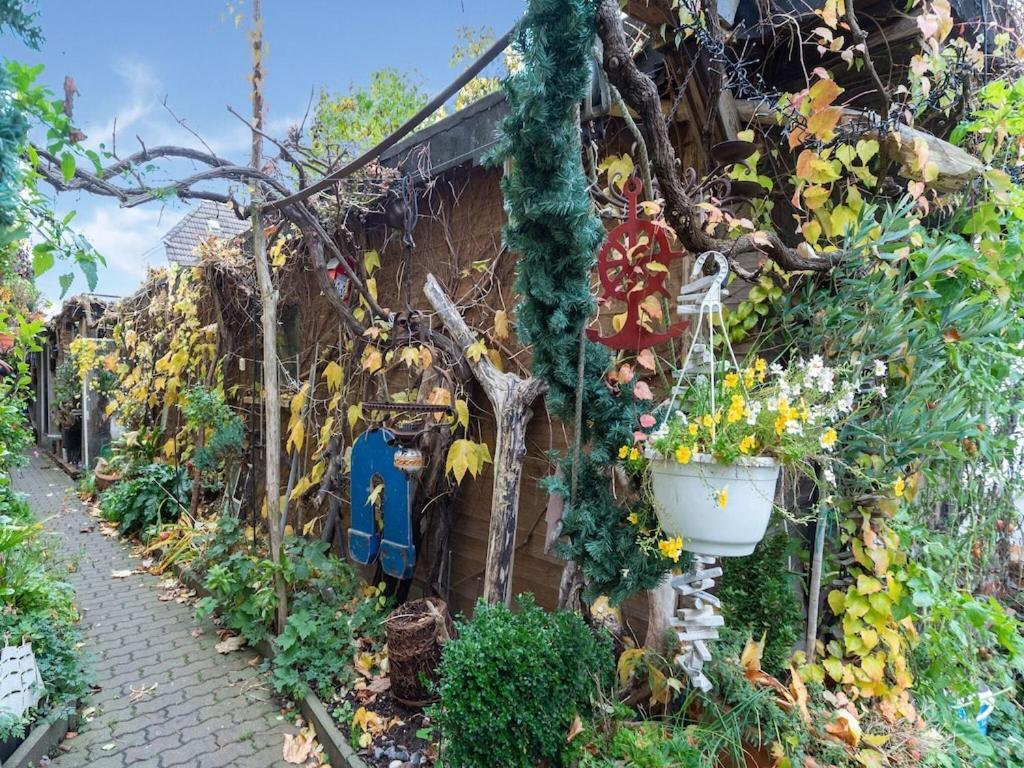 Holiday Flat With Garden In Wißmar Exterior foto